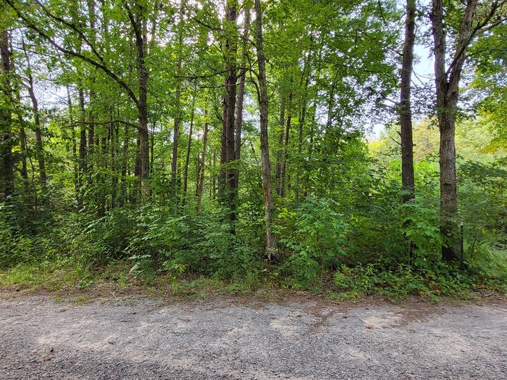 Property Photo: 0 Bowater Road TN 37367