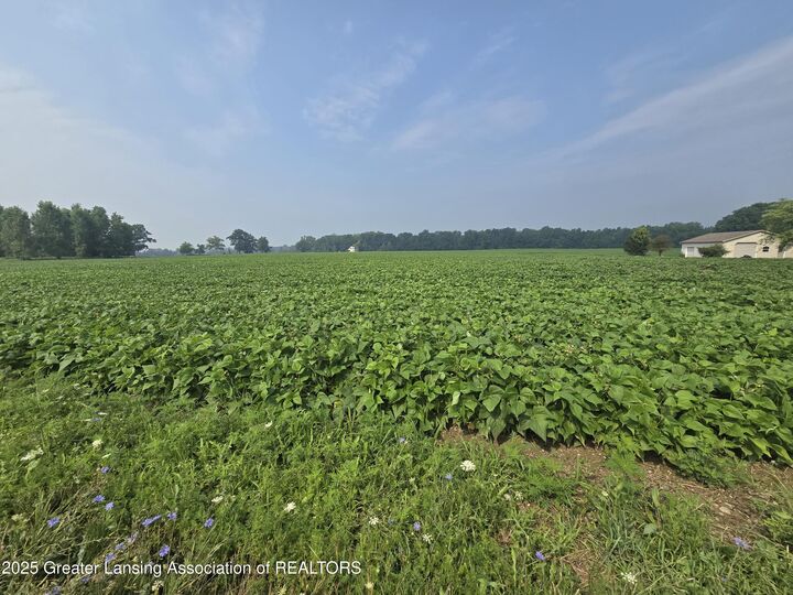 Property Photo: 1 Frost Rd MI 48875