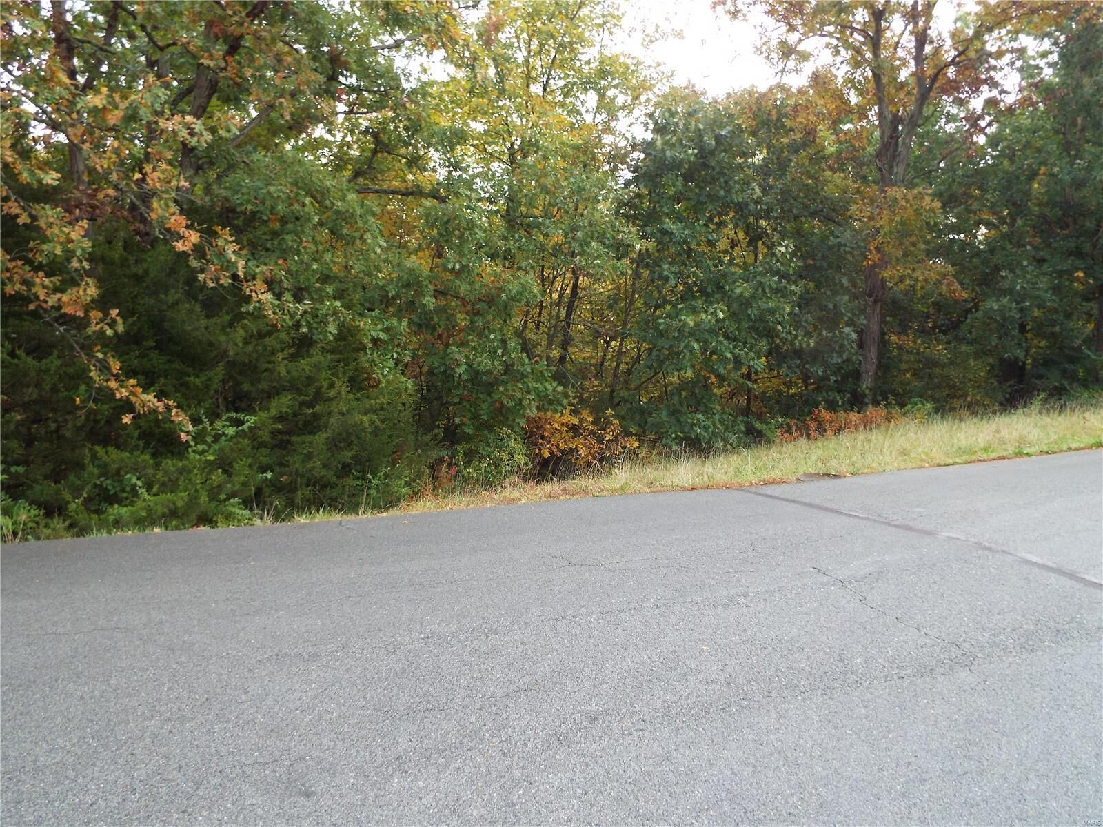 Property Photo: 476 Incline Village MO 63348