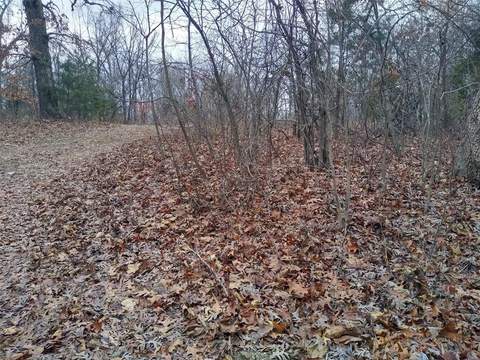 Property Photo: 0 Click Rd MO 63071