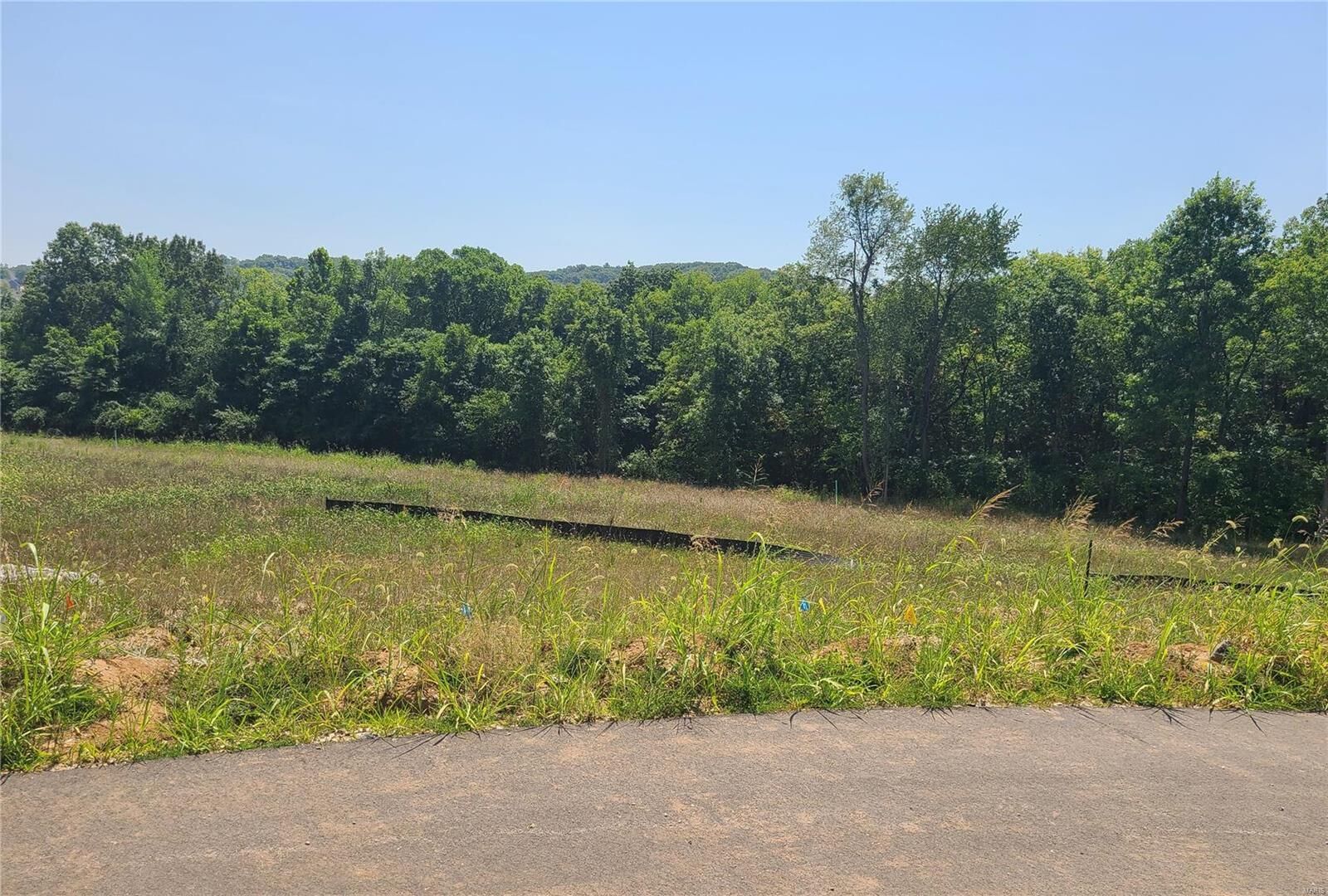 Property Photo: 0 Lot 8 Of Dry Fork Meadows MO 63052