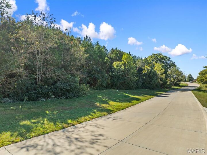 Property Photo:  163 Scarlet Oak Loop (Lot 37)  MO 63089 