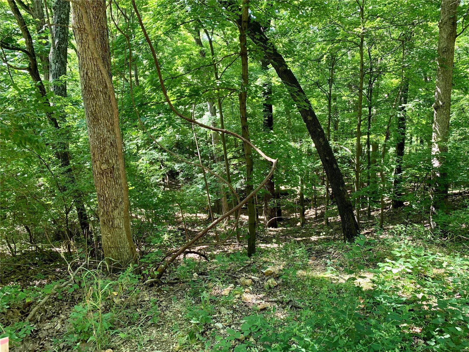 Property Photo:  0 Lots 5-11 Dogwood Lane  MO 63052
