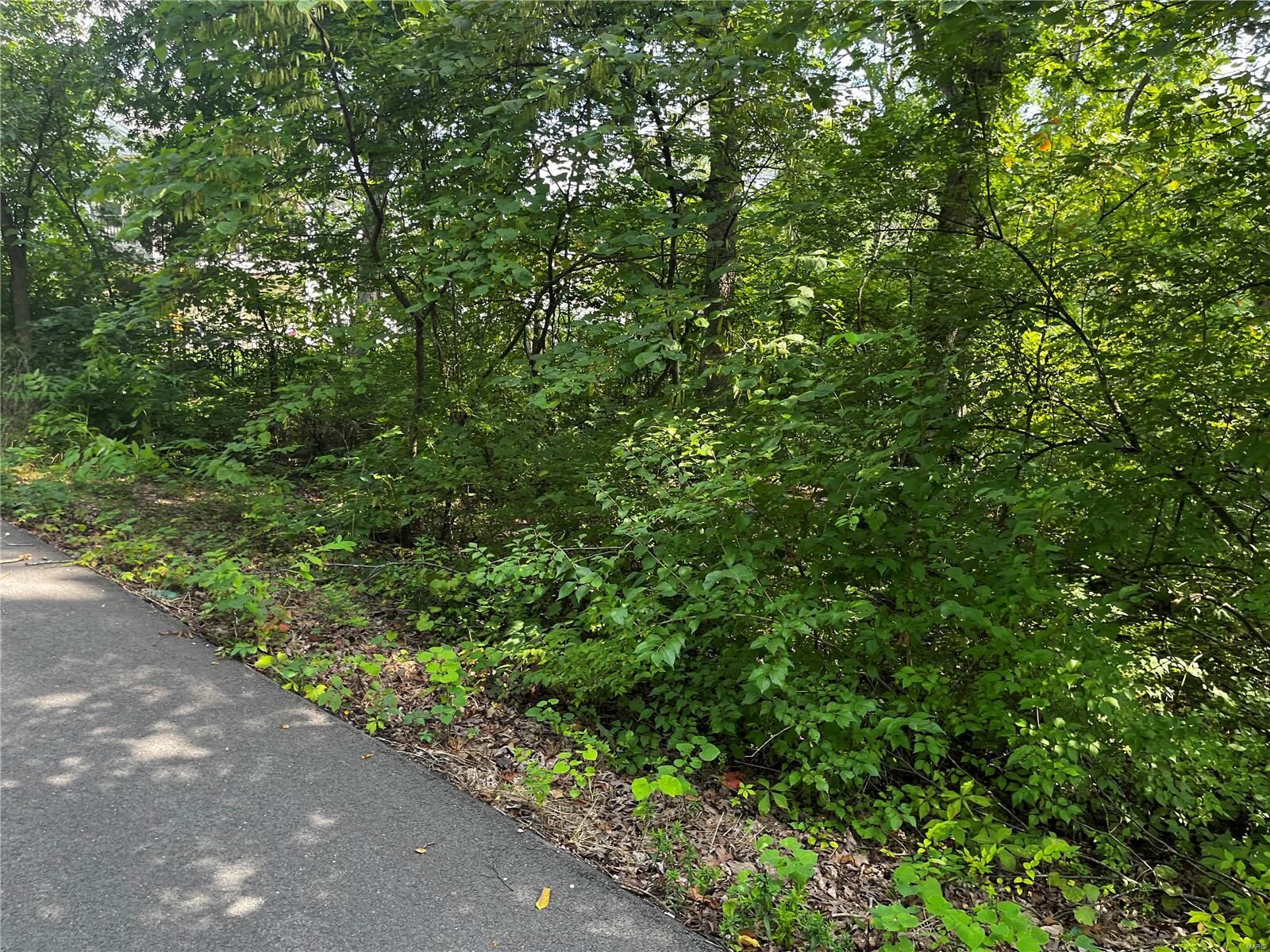 Property Photo:  320 Incline Village (Fairway Dr N)  MO 63348