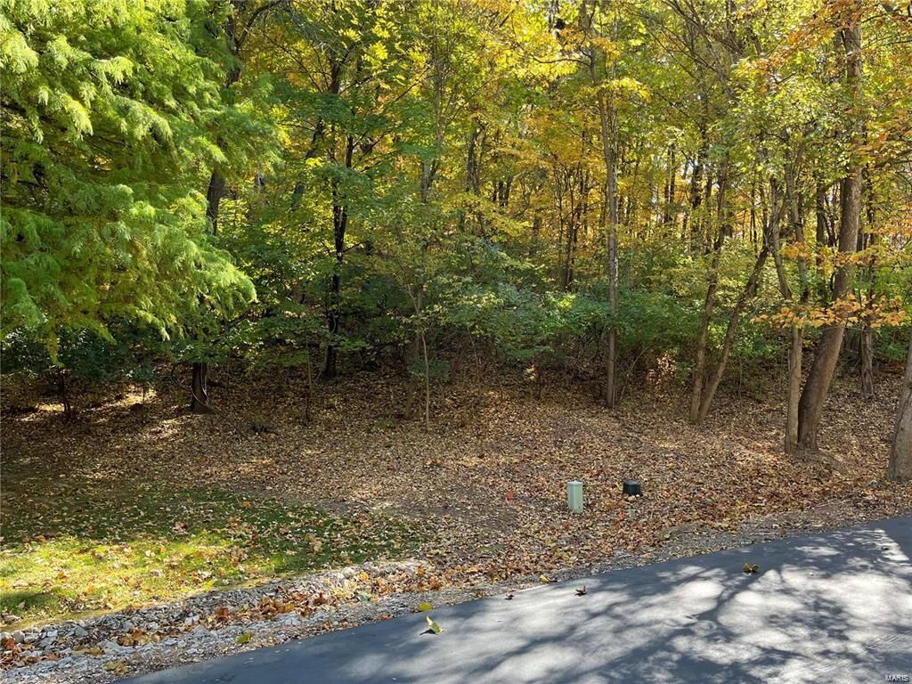 Property Photo:  2544 Wild Valley Drive  MO 63049 