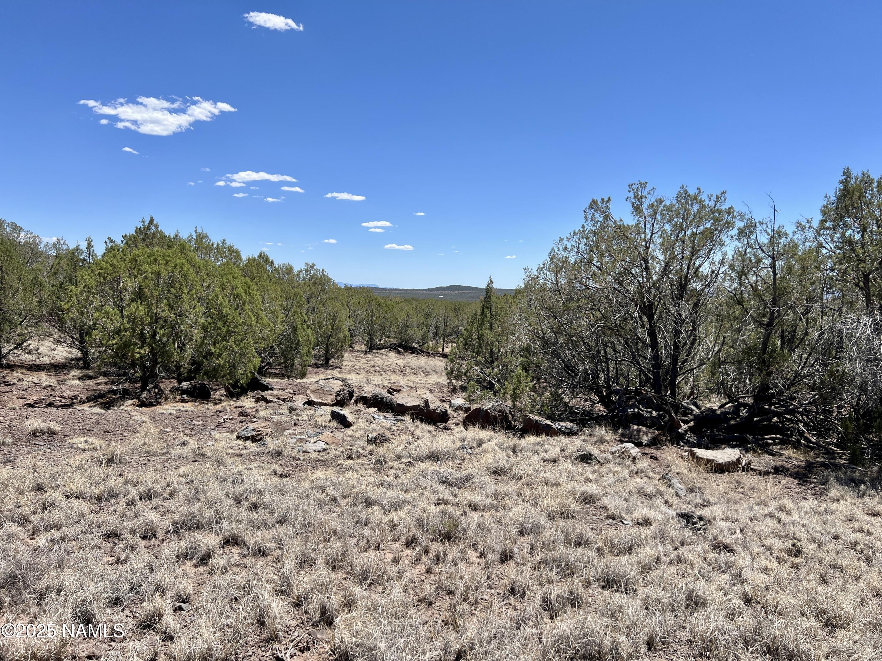 Property Photo:  3850 W Birch Avenue  AZ 86046 