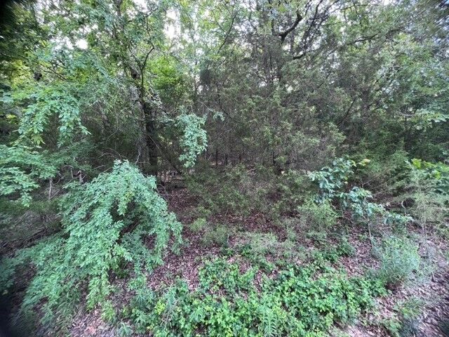 Property Photo: 99 Starlite Avenue AR 72631