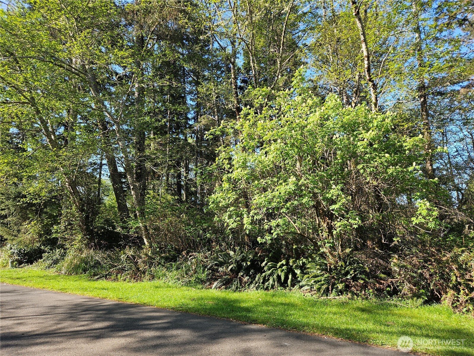 Property Photo: 701 Chenois Avenue NE WA 98569