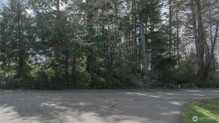 699  Chenois Avenue NE  Ocean Shores WA 98569 photo