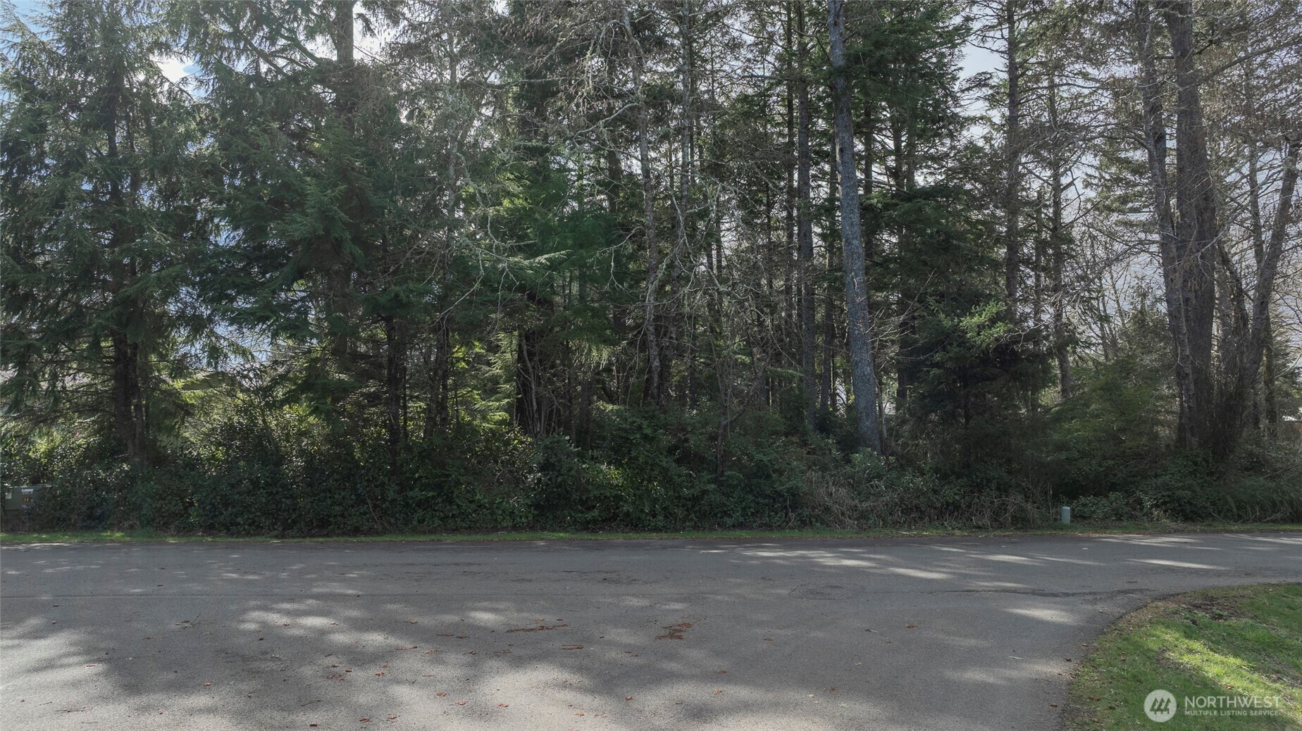Property Photo: 699 Chenois Avenue NE WA 98569