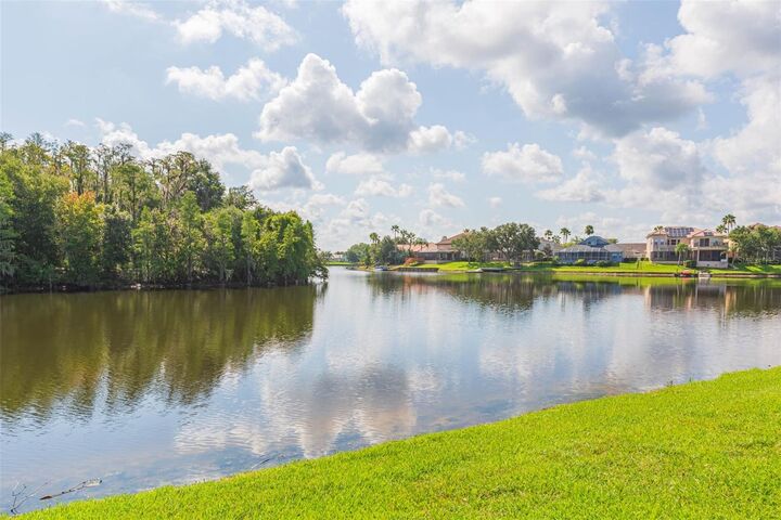10725 Cory Lake Drive  Tampa FL 33647 photo
