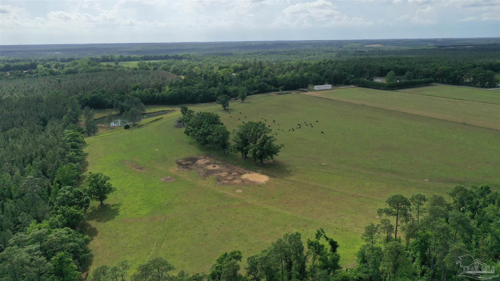 Lot 5 Hall Rd  Jay FL 32565 photo