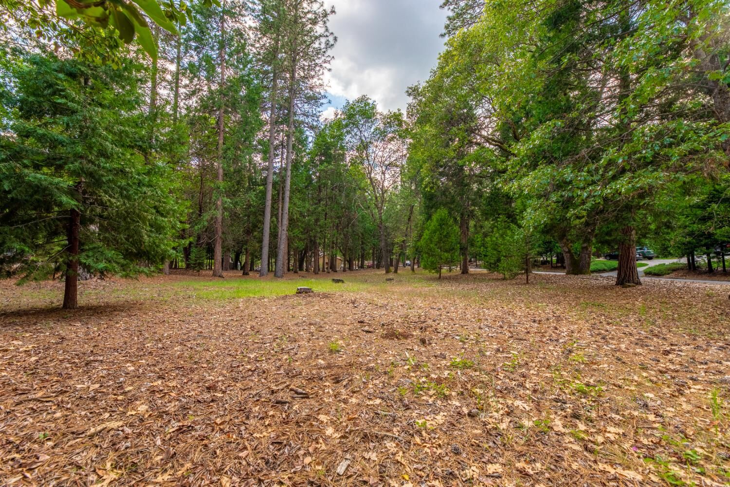 Property Photo: 5627 Maywood Drive CA 95631