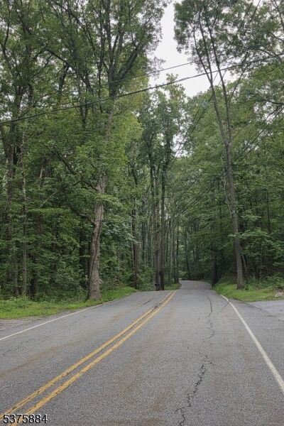 Property Photo:  75 Far View Rd  NJ 07838 