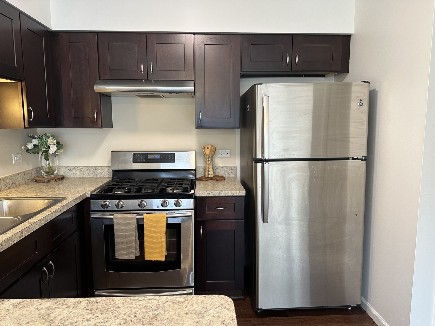 Property Photo: 4537 Maple Avenue 2S IL 60513