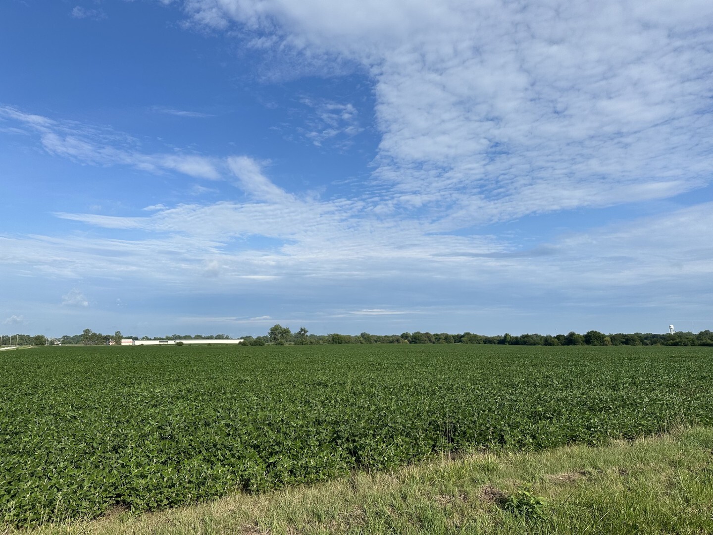 30 Acres Church And Racine Avenue  Beecher IL 60401 photo