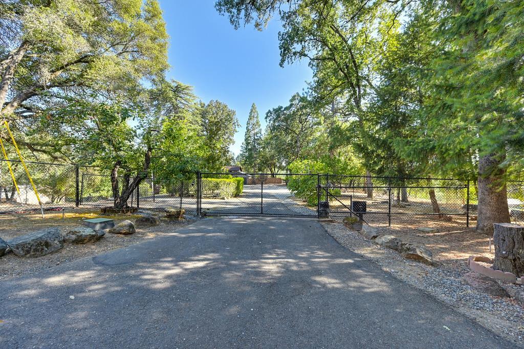 3510 Mining Brook Road  Placerville CA 95667 photo