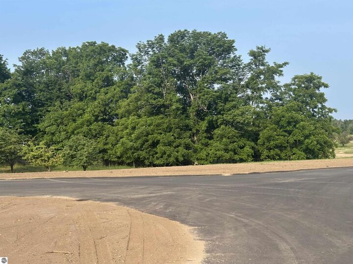 Property Photo:  Parcel 2 Karnes Road  MI 49636 