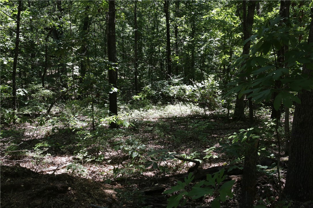 Property Photo: Lot 11, Block 2 Kettering Lane AR 72714