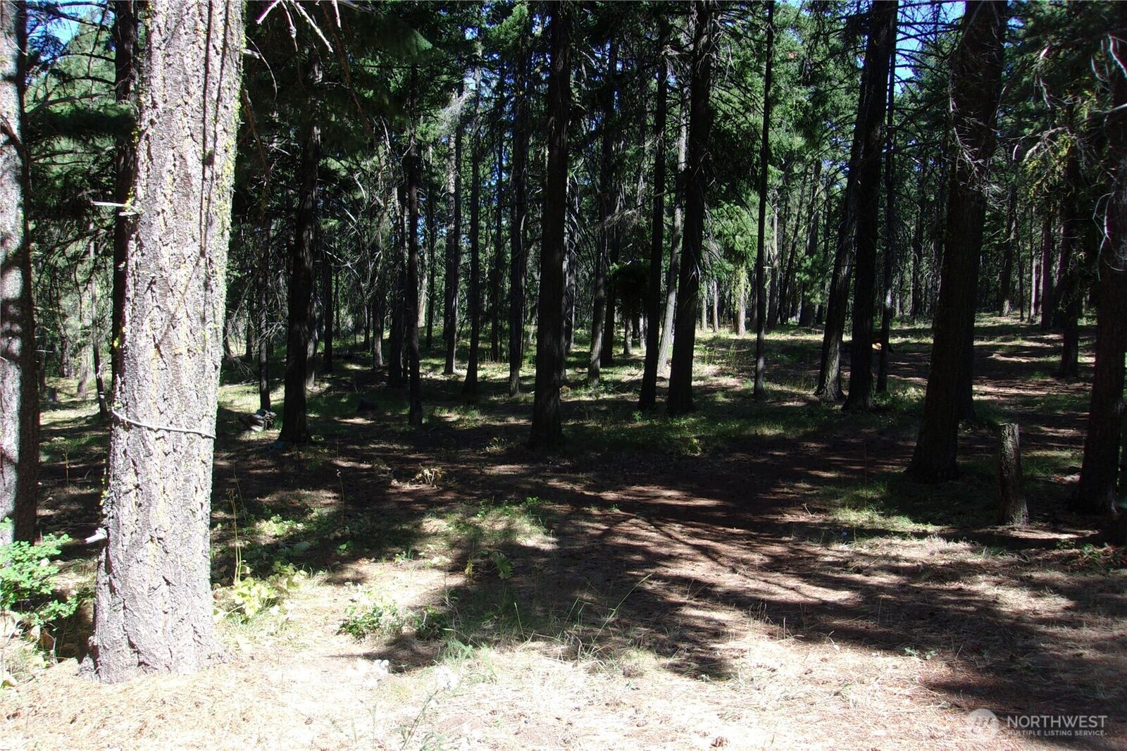 Property Photo: 0 Elk Springs Road WA 98926