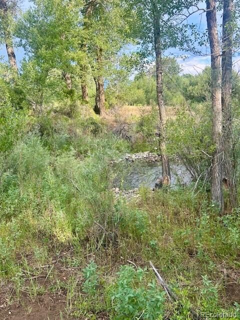 Property Photo: 1122 Little River Lane CO 81242