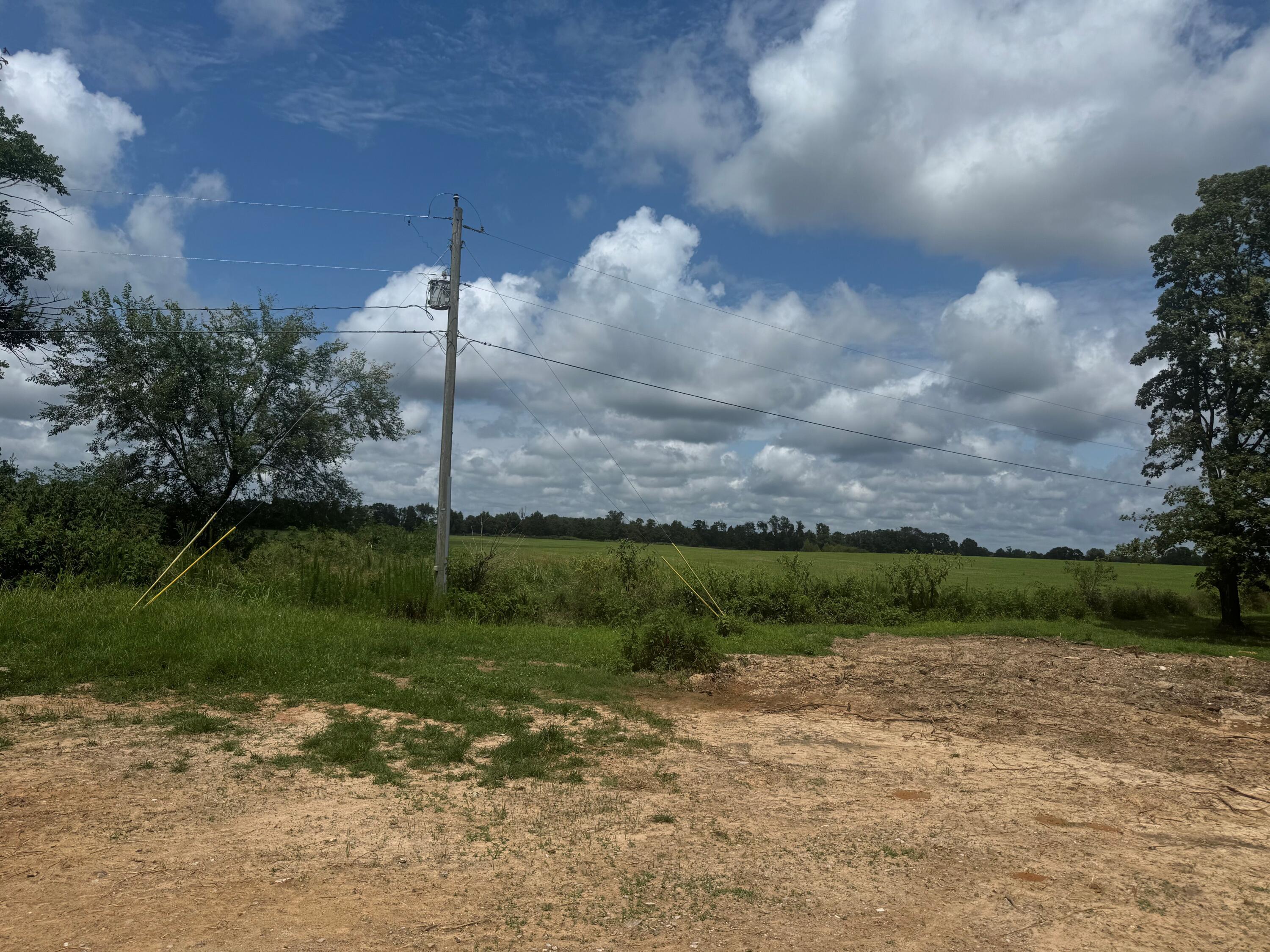 Property Photo: 32673 State Highway 112 MO 65745