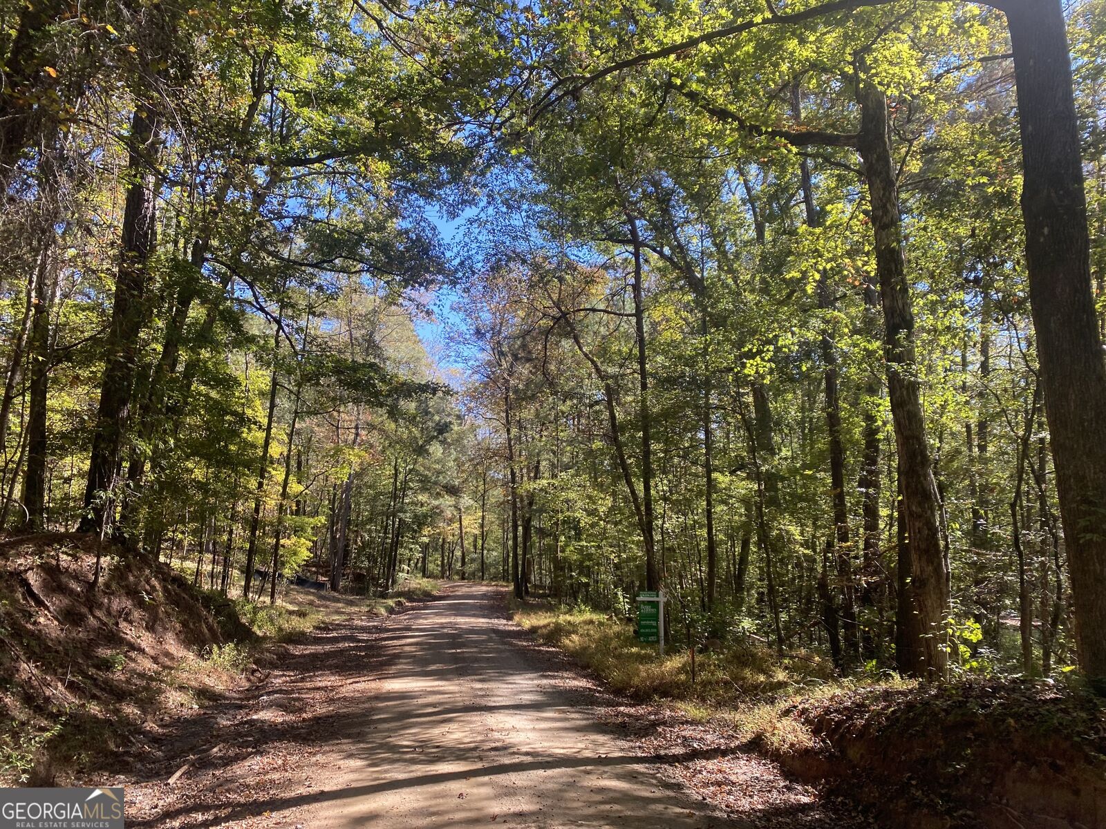 Property Photo:  90 +/- Acres English Road  GA 31029