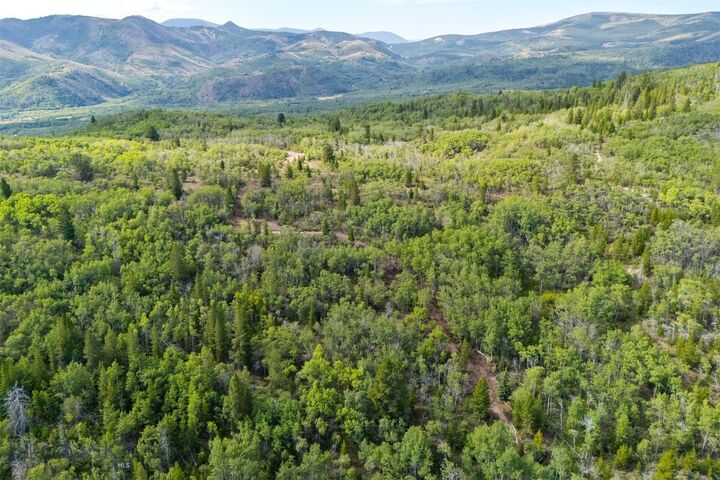 Property Photo:  Tbd Tract A  MT 59711 