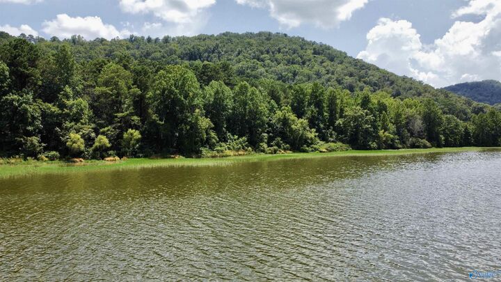 148 Acres County Road 21  Ashville AL 35953 photo