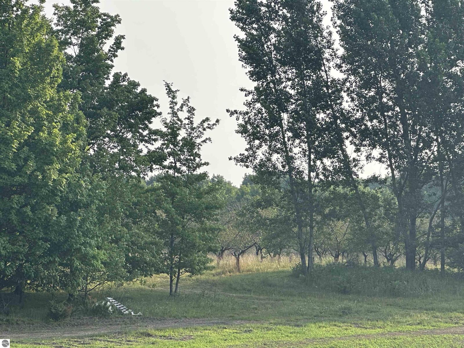 Property Photo:  Parcel 5 Karnes Road  MI 49636 