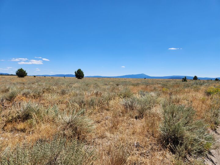 Property Photo:  Tableland Road  OR 97639 
