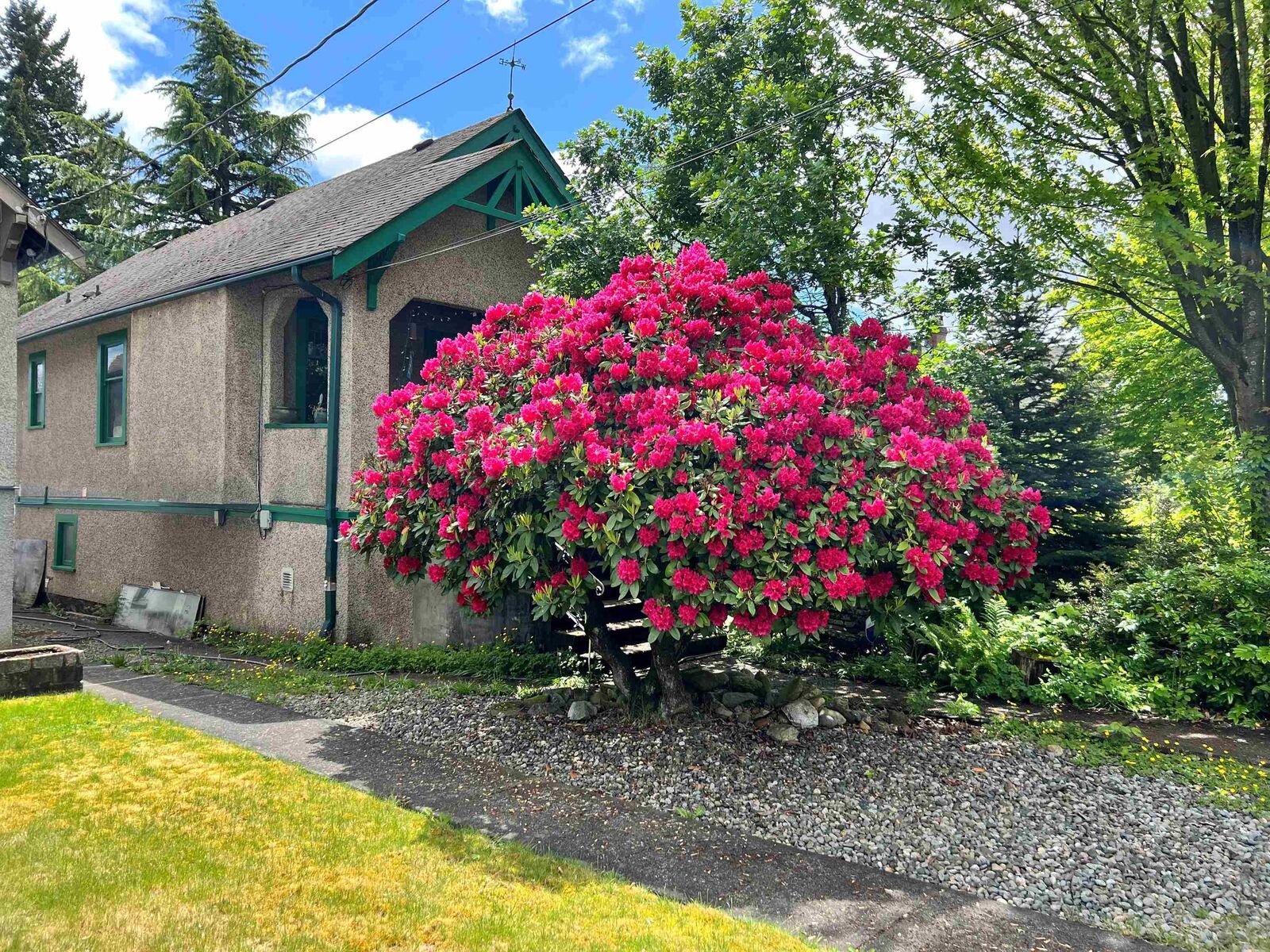 Property Photo:  812 Dublin Street  BC V3M 2Y6 