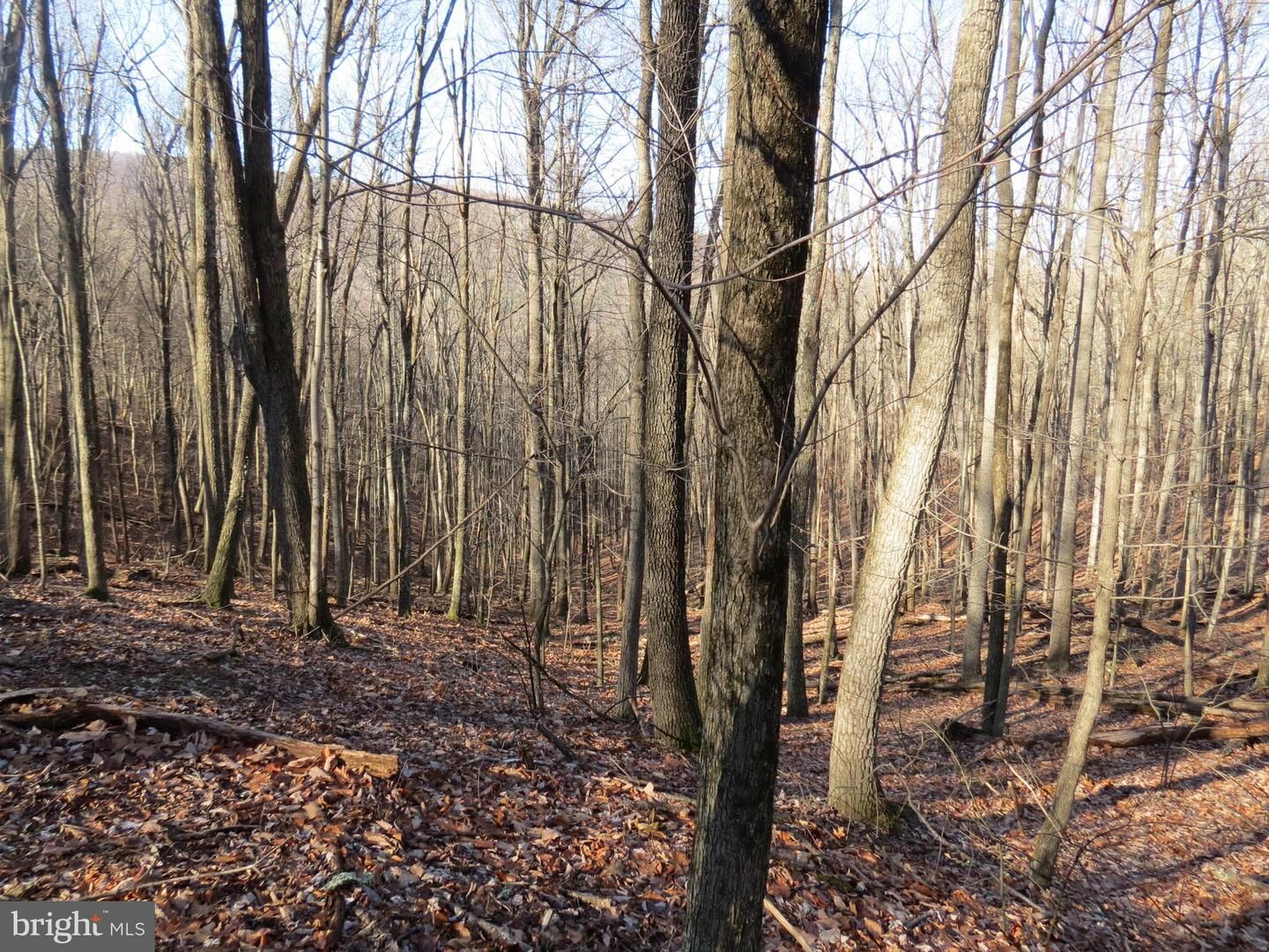 Property Photo:  14A Cedarwood Drive Road  WV 26812 