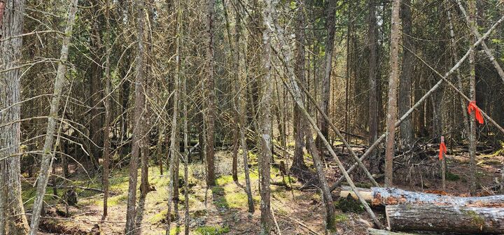 Property Photo:  3 W Shiawassee Trl  MI 49745 
