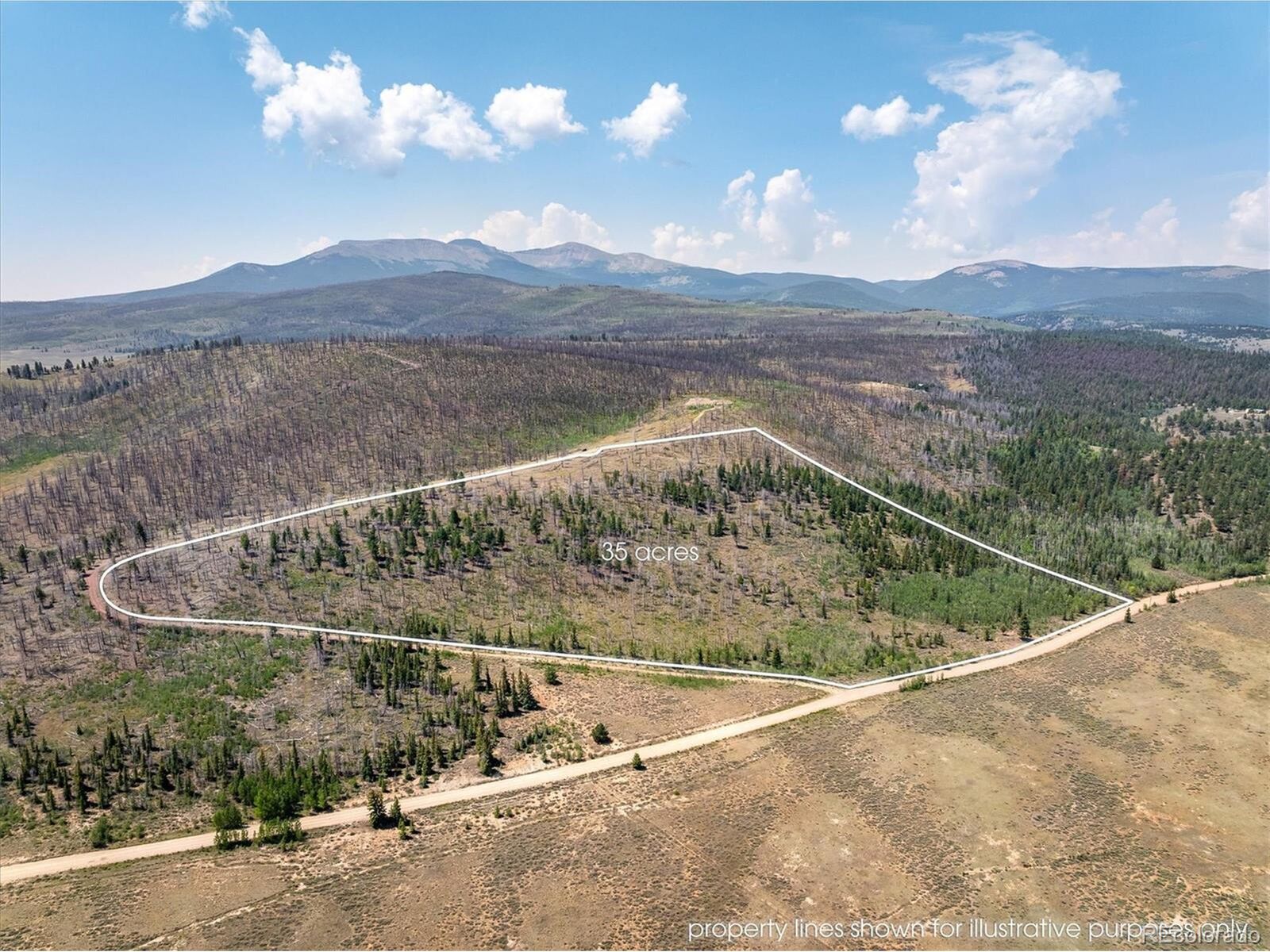 Property Photo:  637 Lynch Creek Ct  CO 80440 