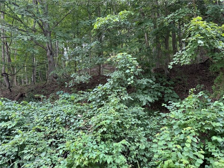 Property Photo:  1037 Maccorkle Avenue  WV 25177 