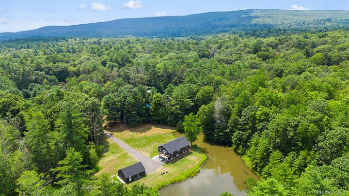 Property Photo:  297 Schwabie Turnpike  NY 12446