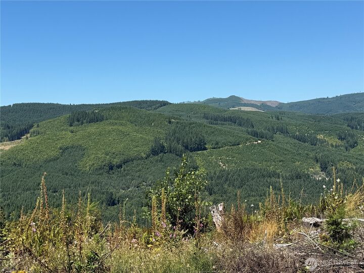 Property Photo:  3725  Little Kalama River Road A  WA 98584 