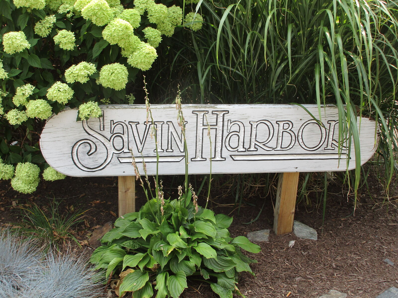 Property Photo:  330 Savin Avenue Apt 63  CT 06516 
