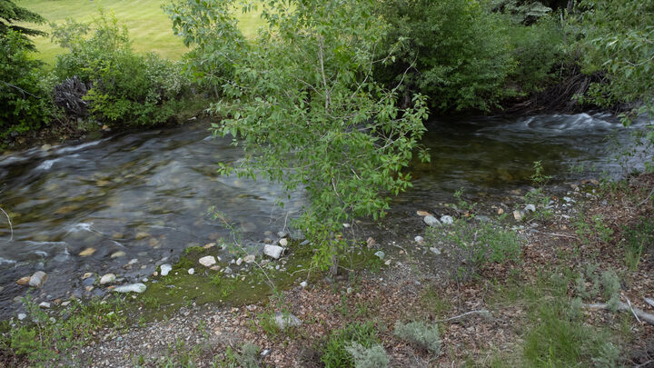 Property Photo: 237 Timberline Rd ID 83340