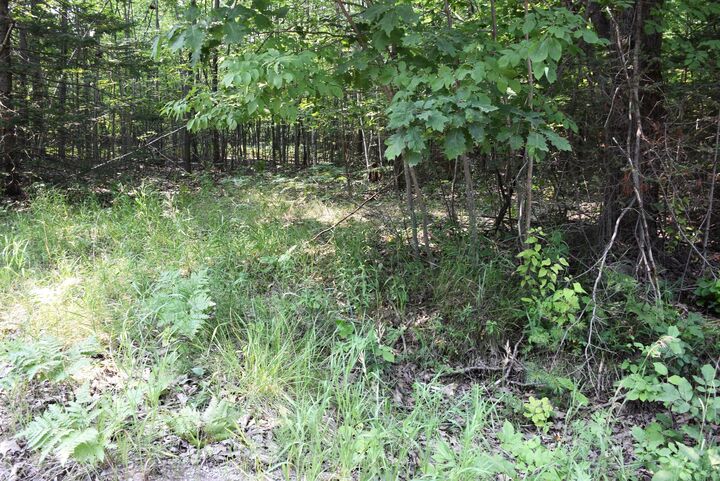 1825 Derby Road  Indian River MI 49749 photo