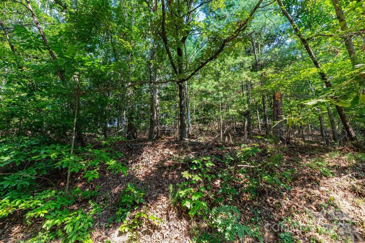 Property Photo: 99999 Flynn Branch Road 2 NC 28804