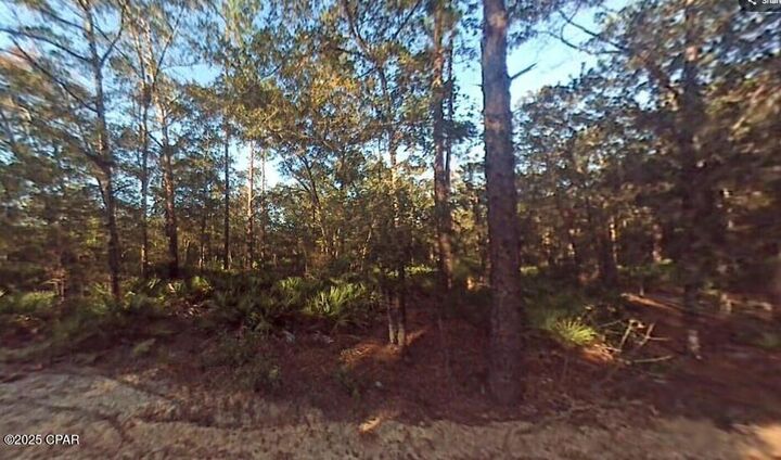 Property Photo: 0 22 1N 12W FL 32438