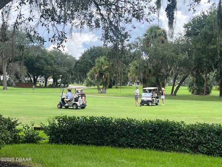 Property Photo:  3311 Oak Vista Drive  FL 32128 