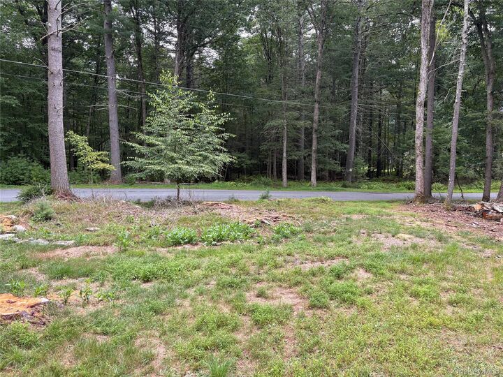 Property Photo:  23 Kern Road  NY 12719 
