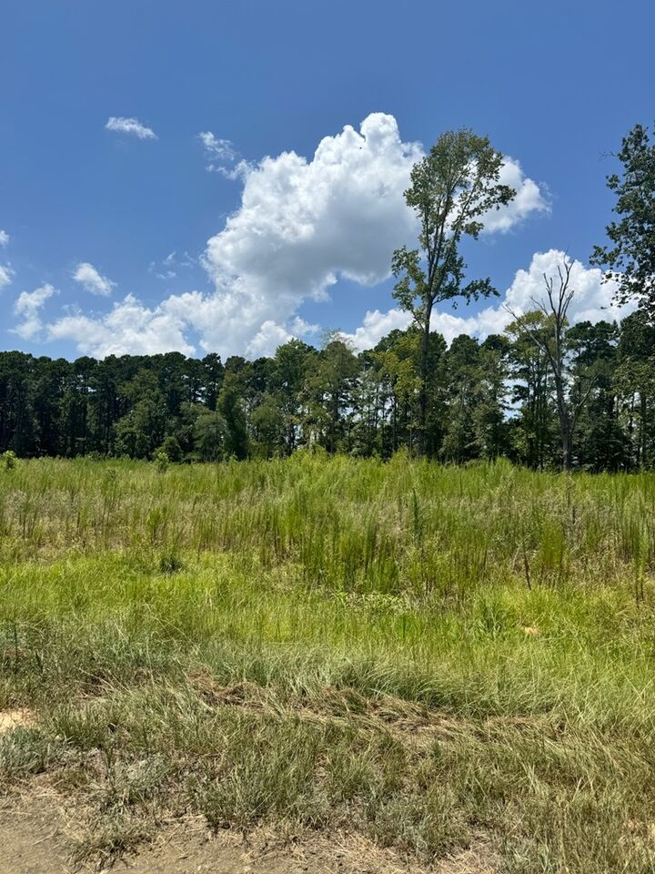 Property Photo:  R28429(Lot12) Private Road 7700  TX 75972 