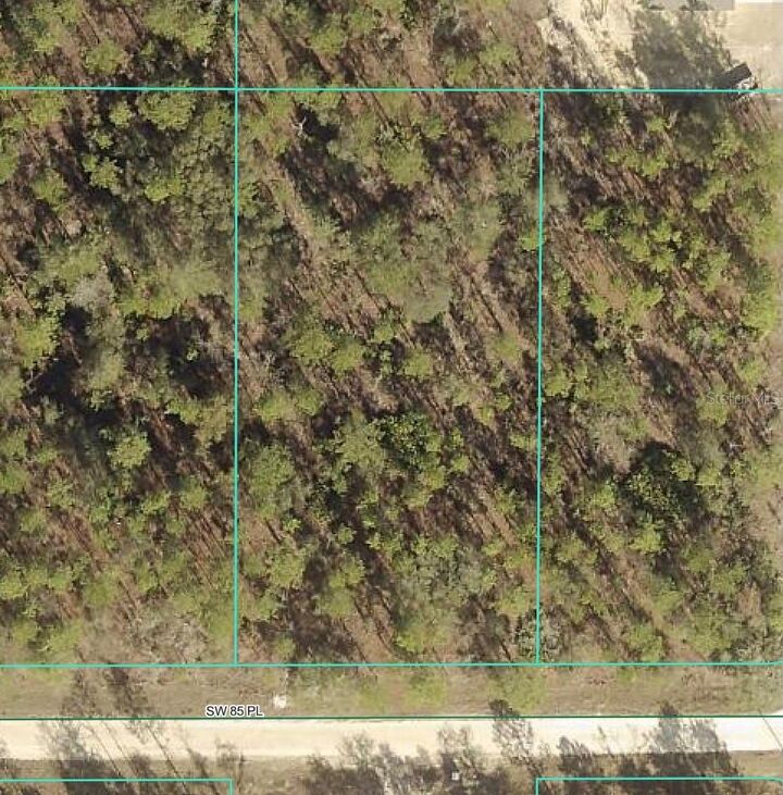 Property Photo: 0 SW 85th Place FL 34432