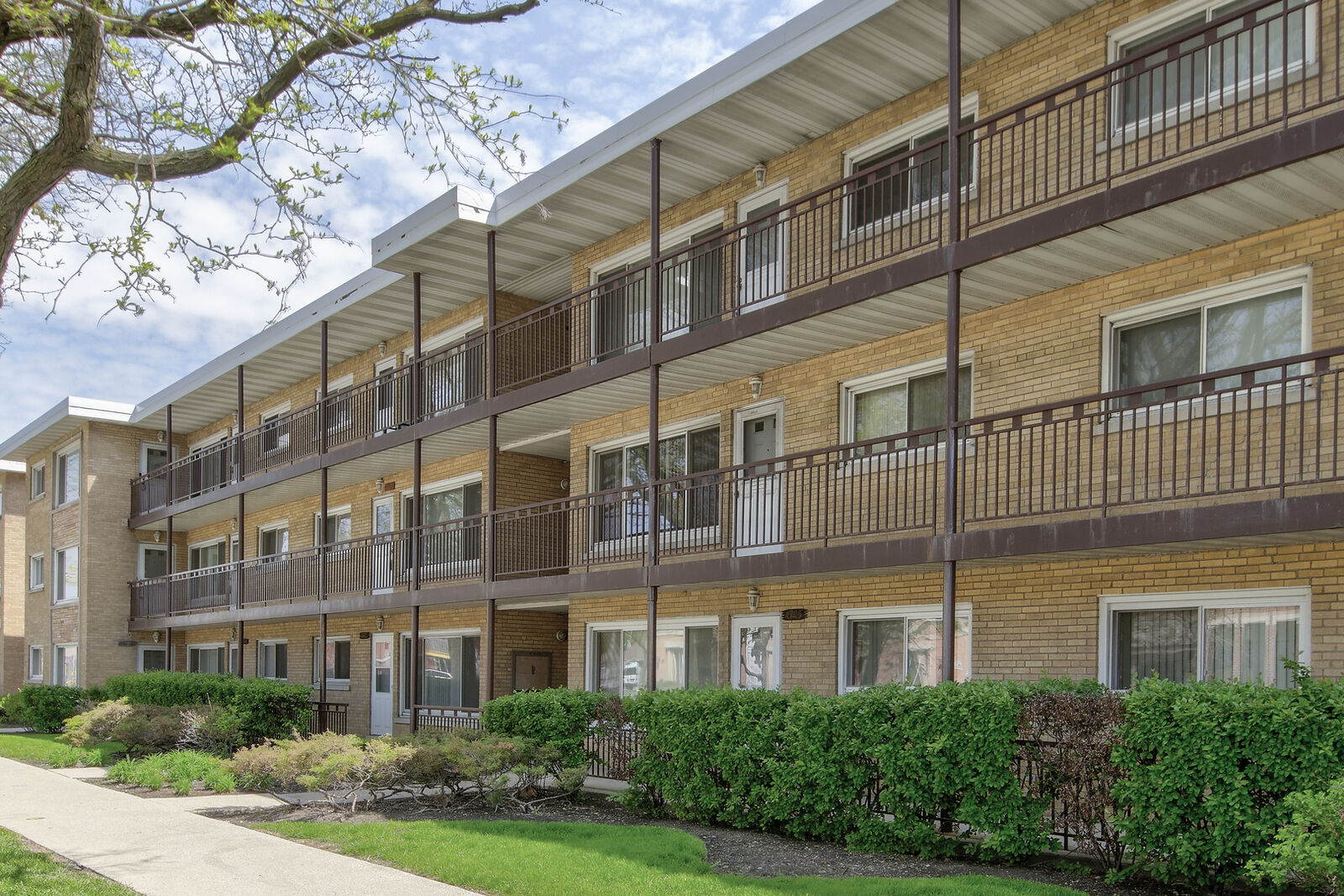 Property Photo:  4911 N Harlem Avenue 3  IL 60656 