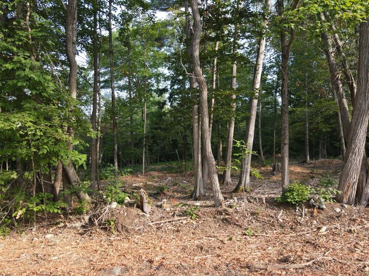 Property Photo: Lot 2 Oak Pond Road ME 04967