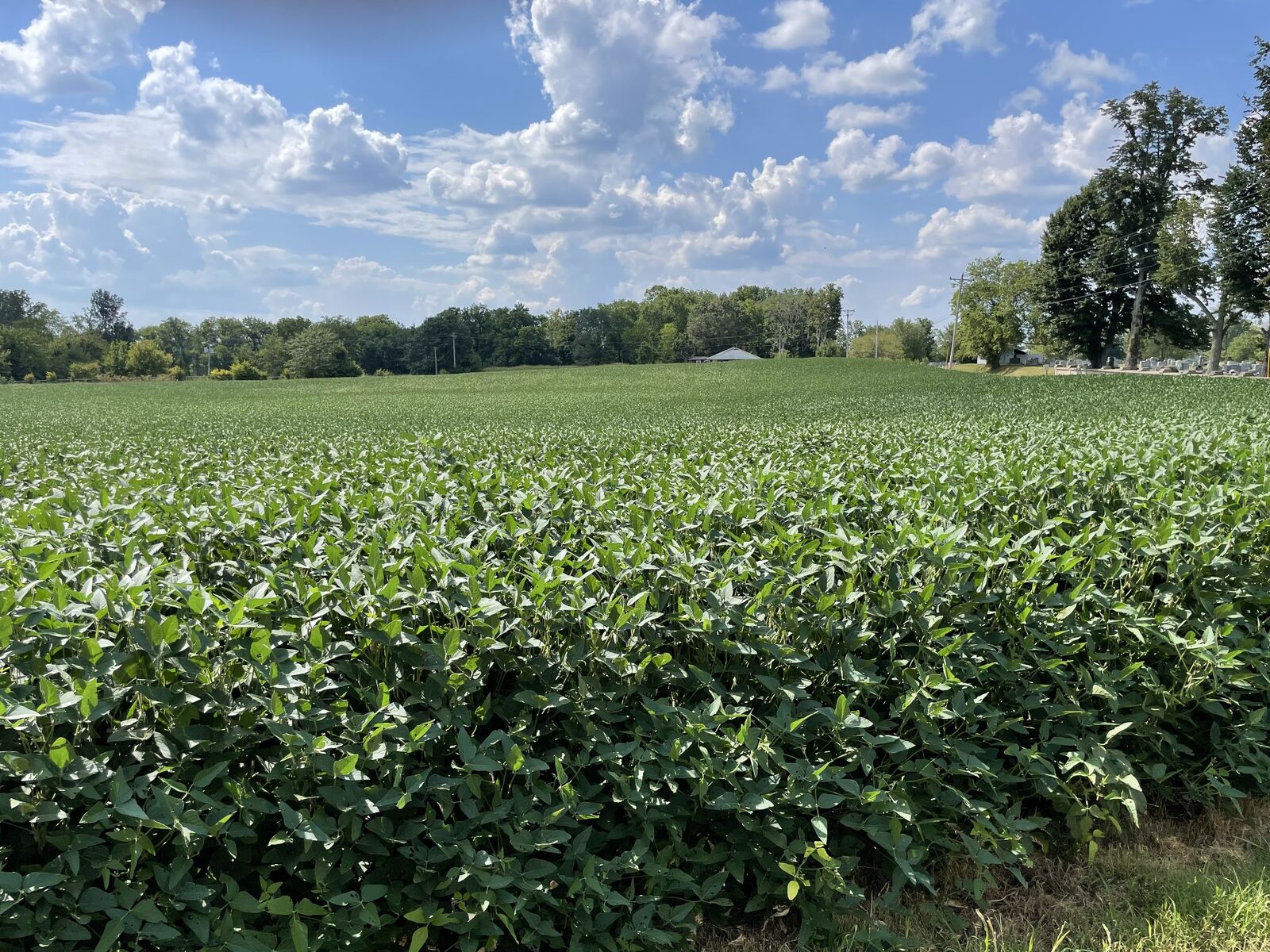 Property Photo: 0 Main St N KY 42220